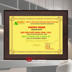 Bảng chứng nhận nhà phân phối hạng vàng